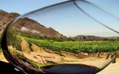 Rioja wine bike route