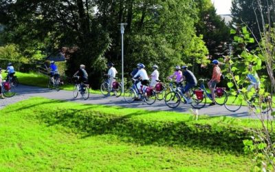 brussels bike tour from bruges