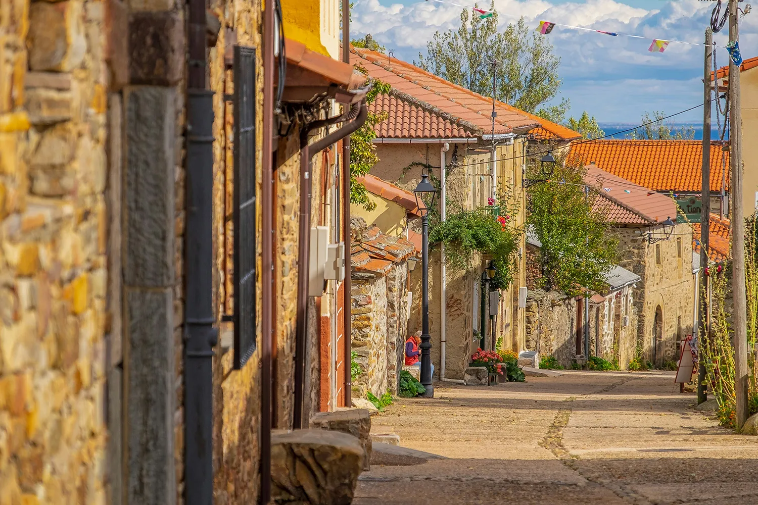 Camino de santiago