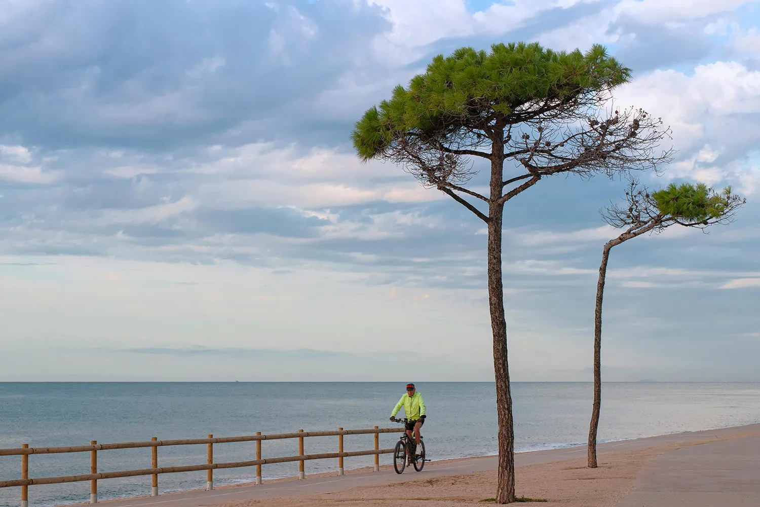 A person riding a bicycle along a path next to the beach in Albufera, Valencia.