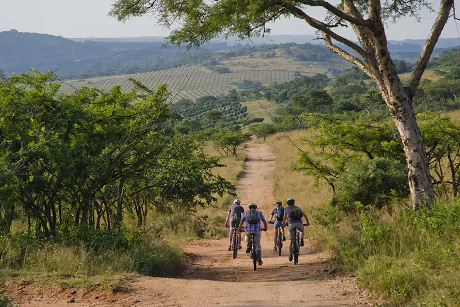 bike tour guided in the wild safari landscape of National Park, South Africa