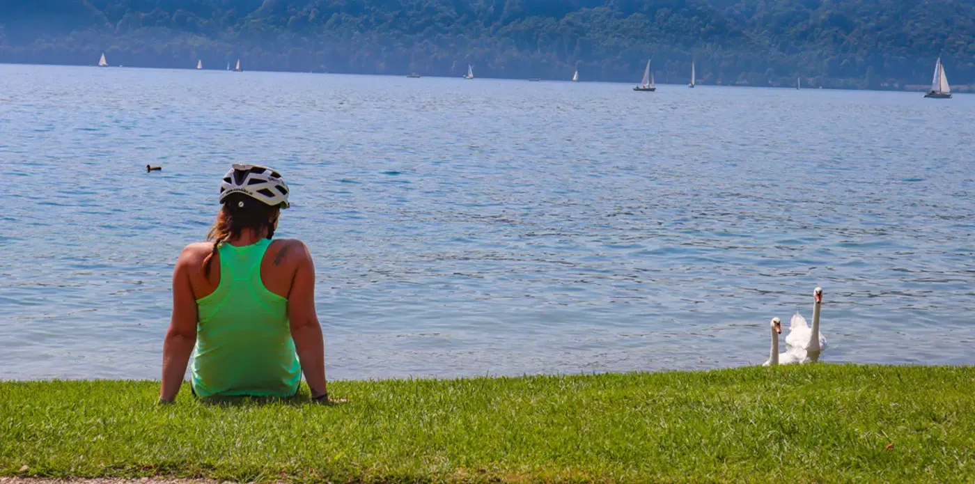 Idyllic lakeshore landscape of Lake Constance featuring green meadows, wildflowers, and crystal-clear water under a clear blue sky during a cycling holiday.