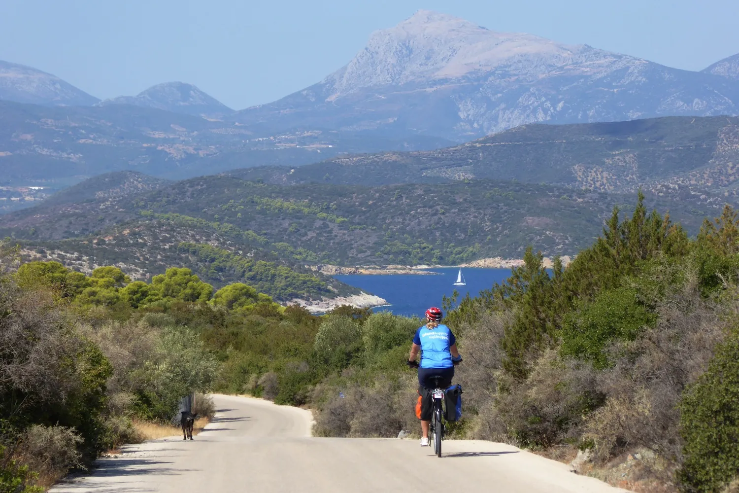 Cyclist riding an e-bike along a paved coastal road surrounded by lush Mediterranean green pine trees and blue sea views on Poros Island.