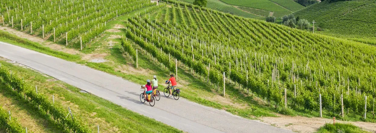 Piedmont Loop Tour: In the Italian Garden of Eden