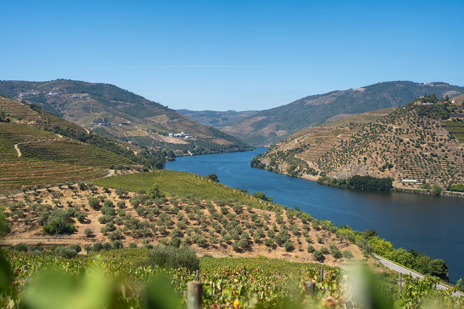 Douro Valley Cycling Tour from Bragança to Porto