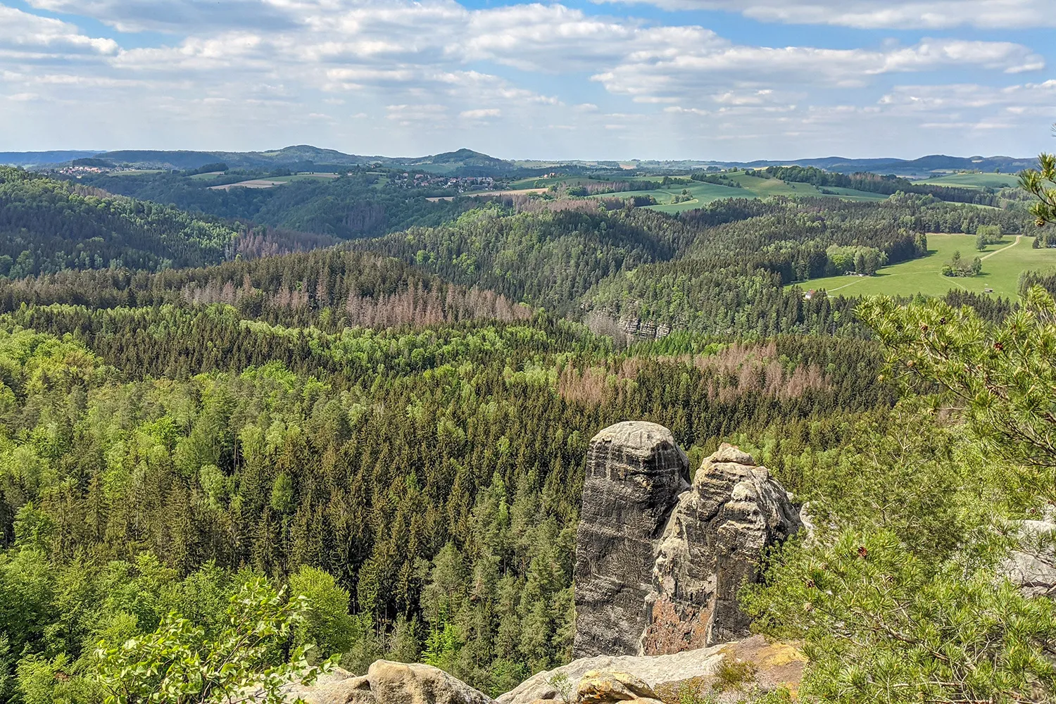 Prague to Dresden Bike Tour in Czech Republic & Germany